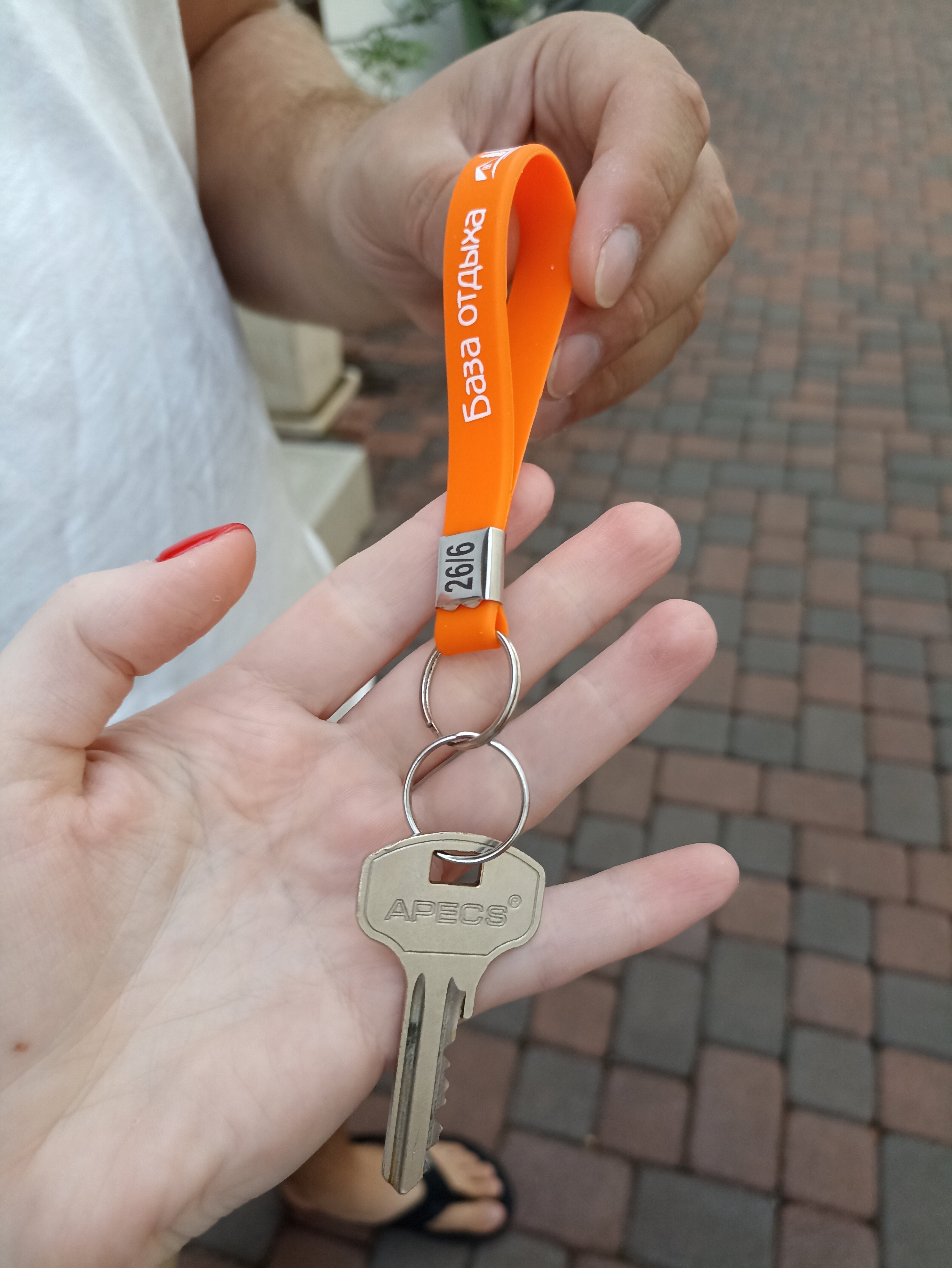 Фото Лесная сказка