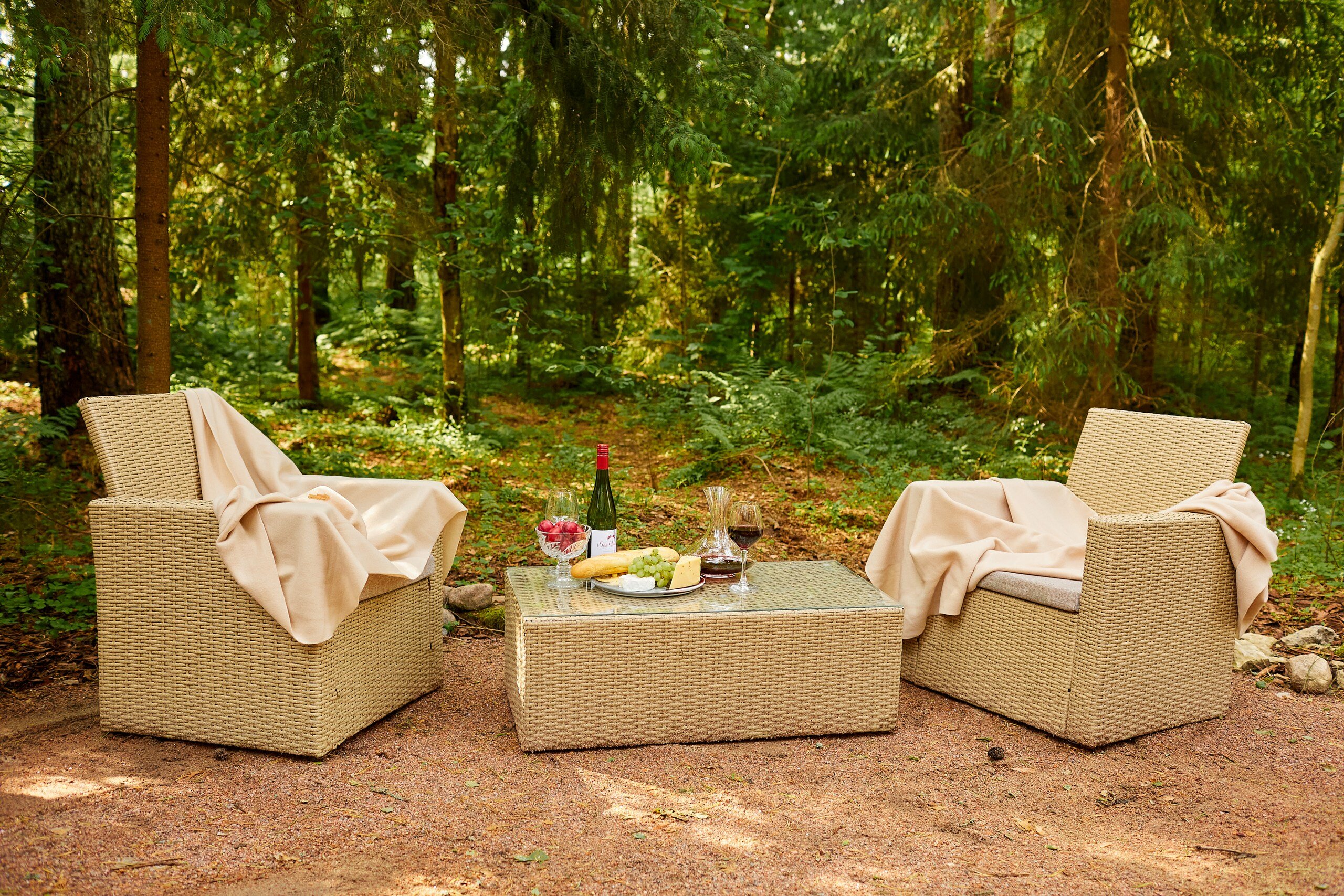 Фото Репинские дачи