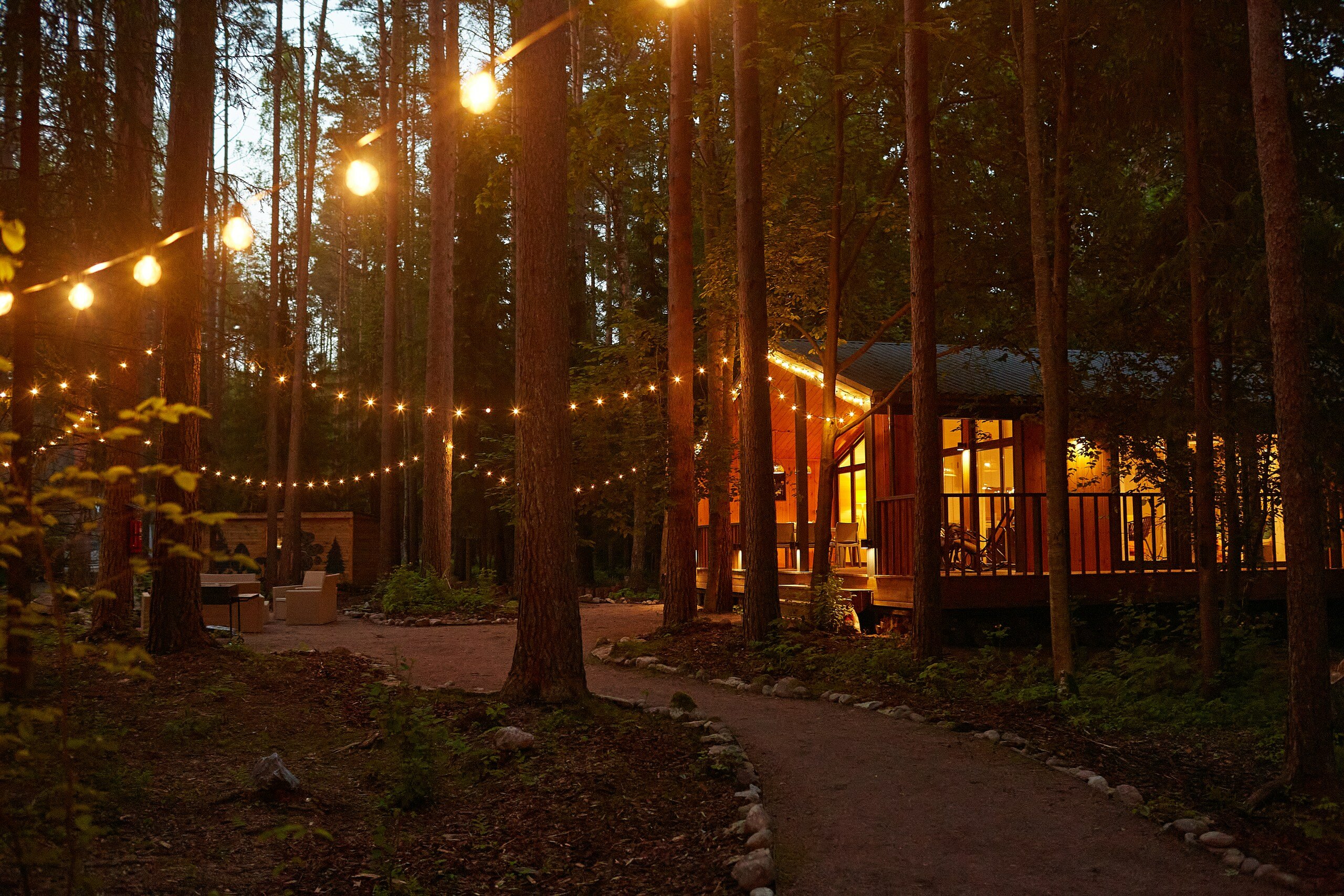 Фото Репинские дачи