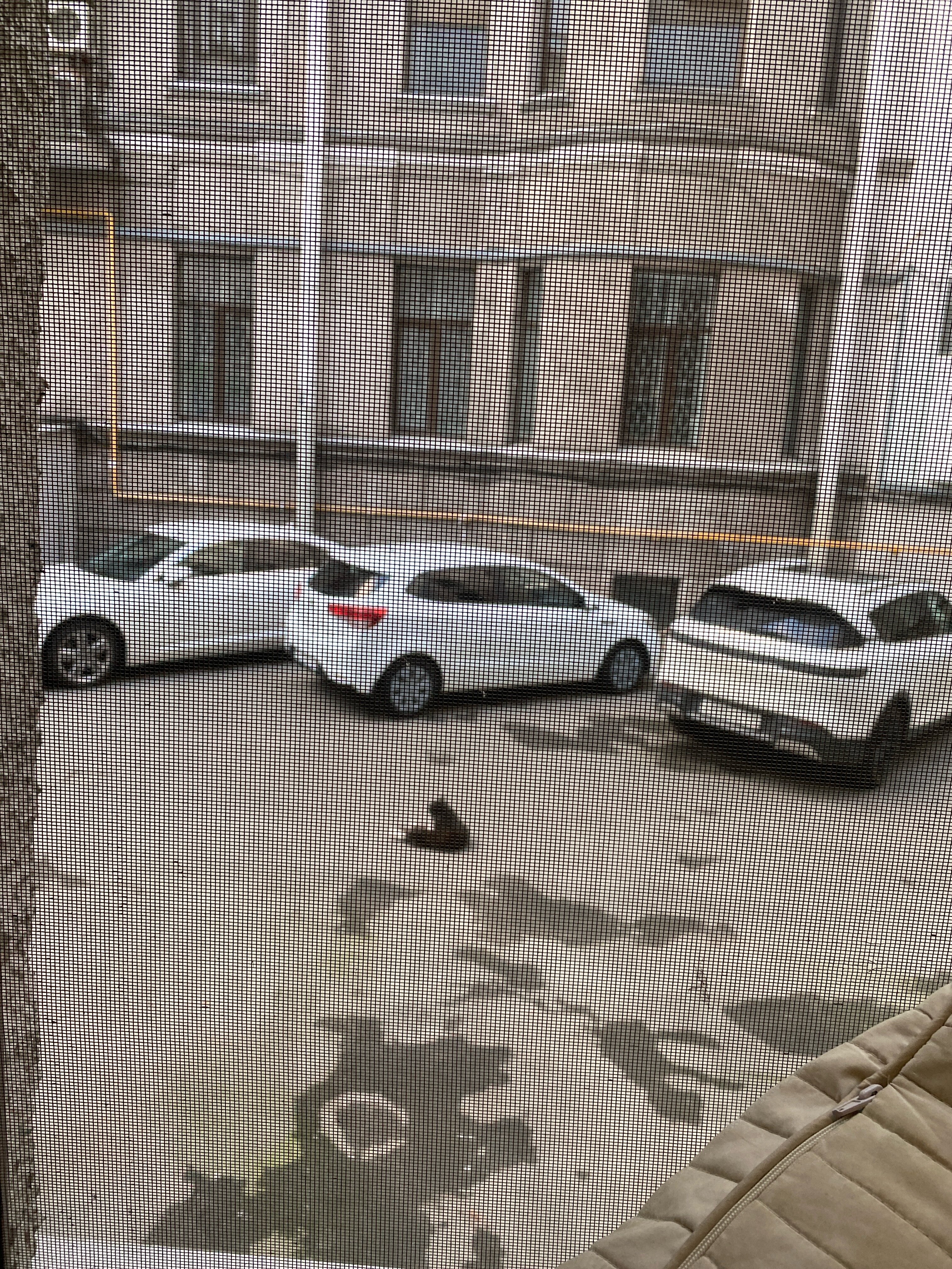 Фото ColorSpb Египетский Дом