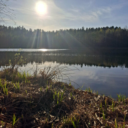 Гостиница Хвоя Ногинск в Ногинске