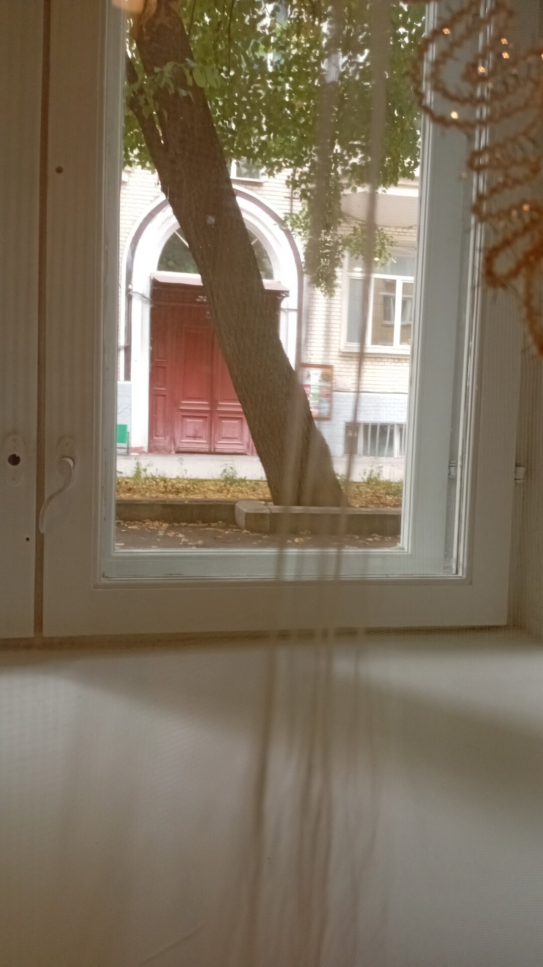 Фото Barista Bed&Breakfast