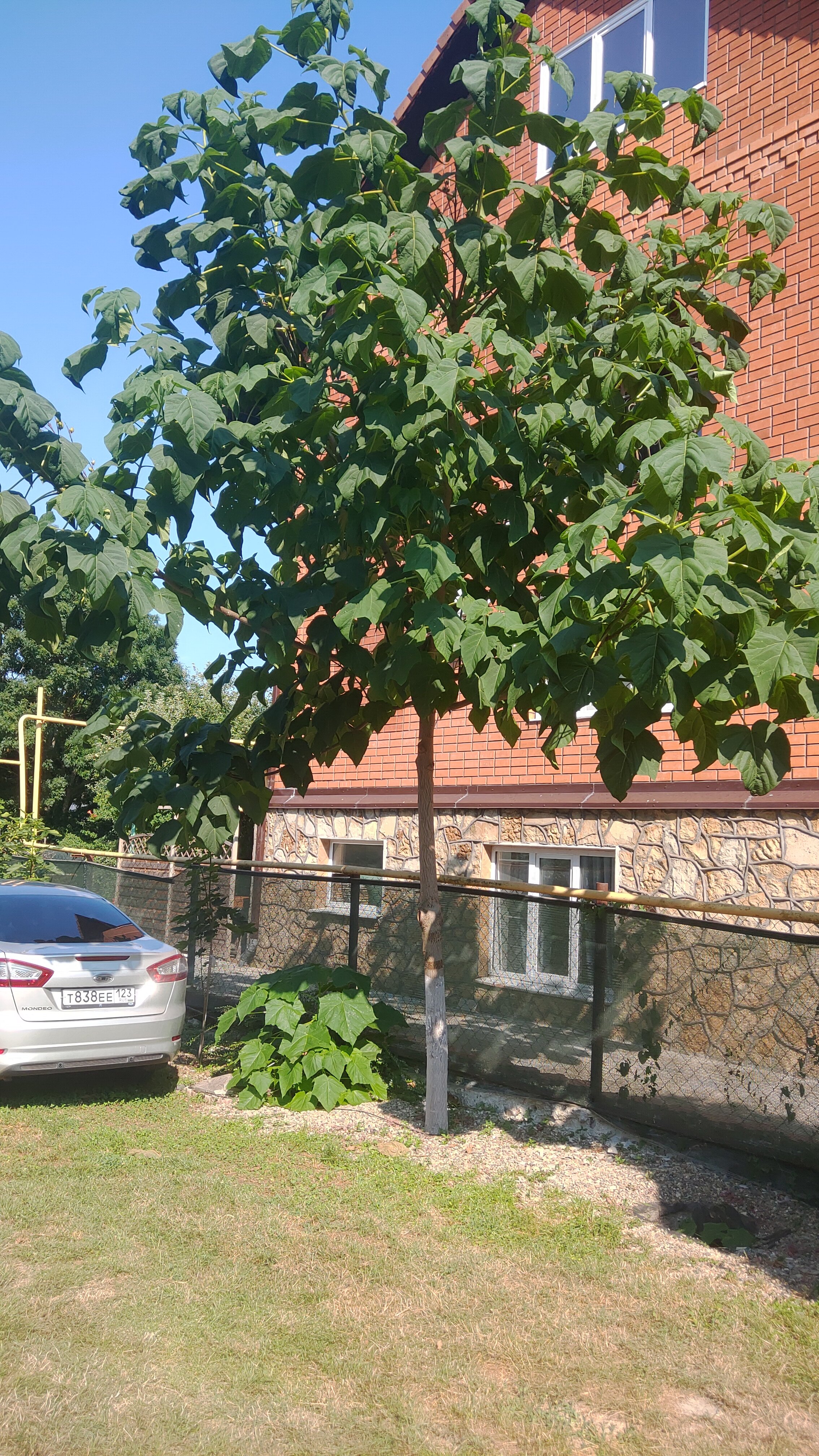 Фото Надежда