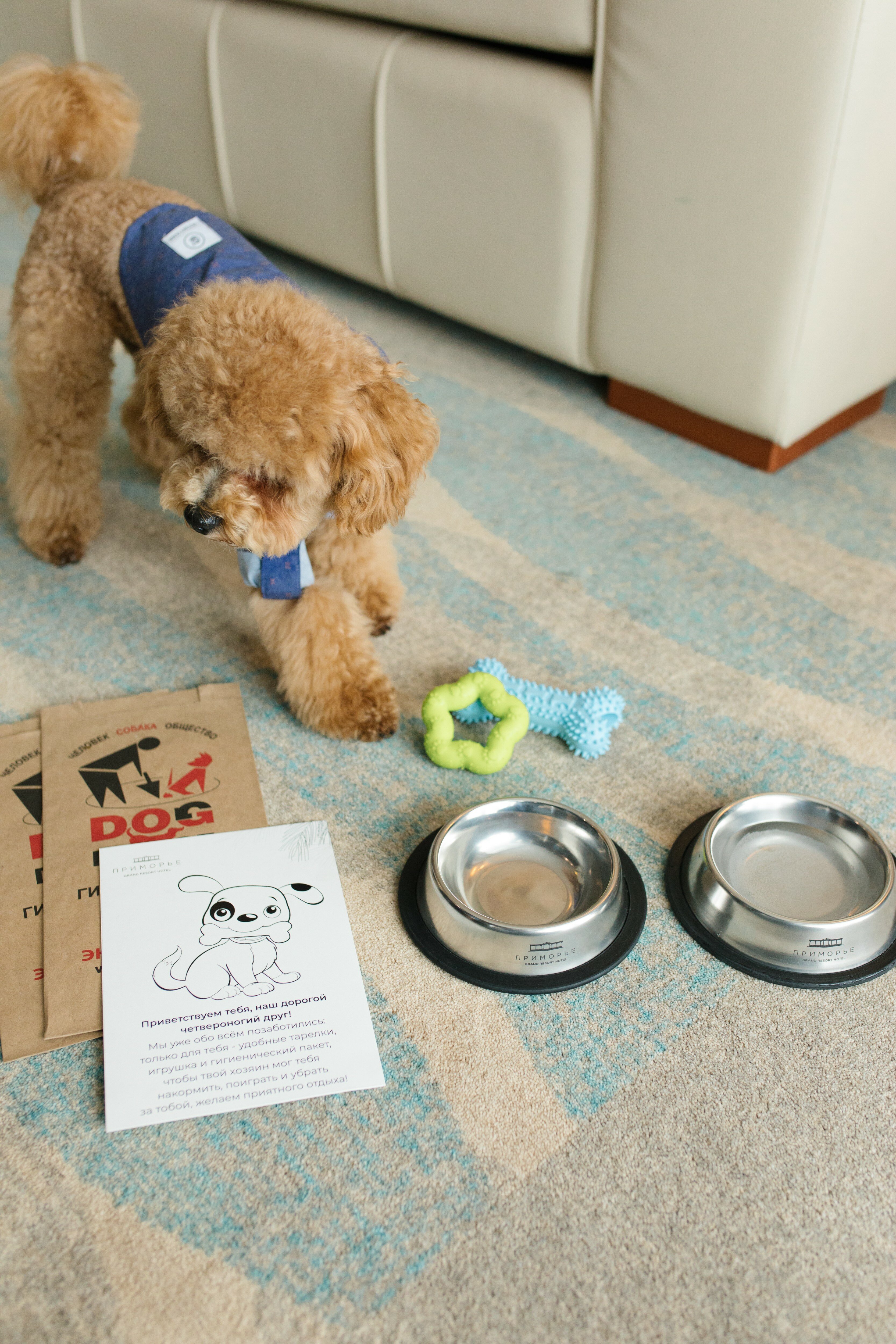 Фото Приморье Grand Resort Hotel