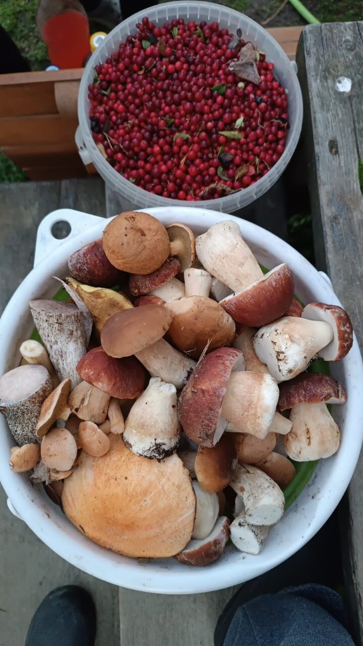 Фото Домик на берегу