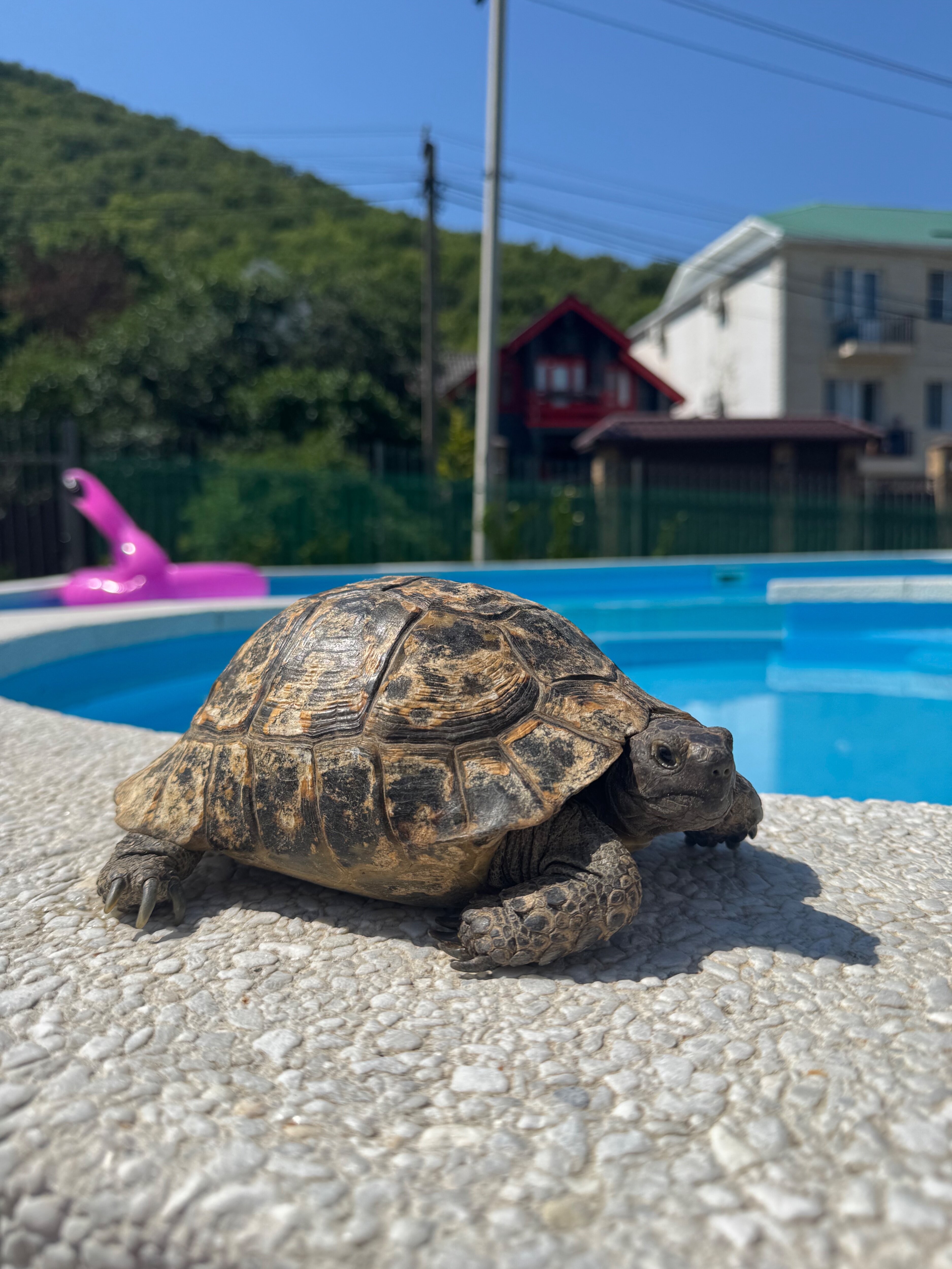 Фото Море и солнце