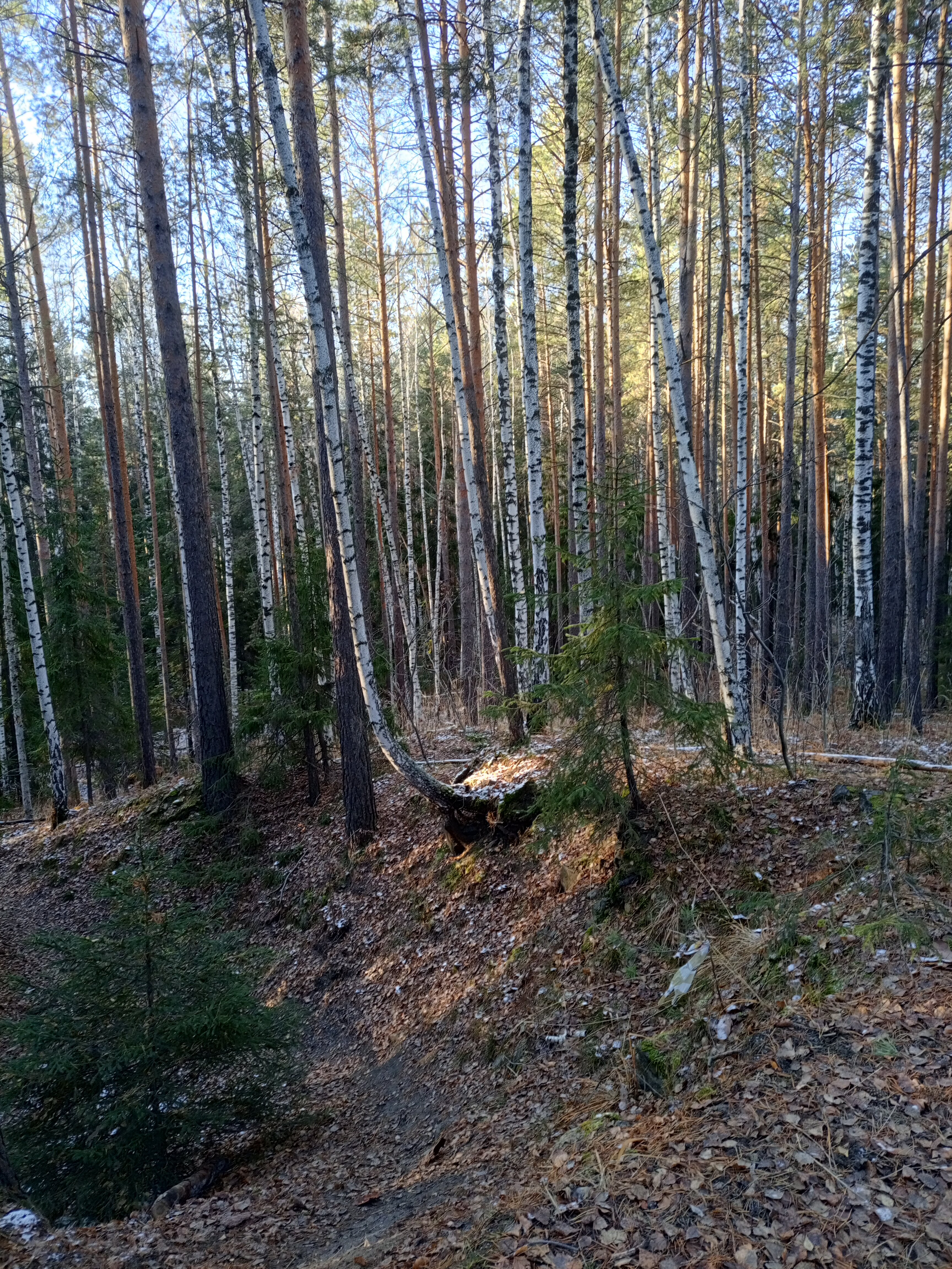 Фото Энергетик