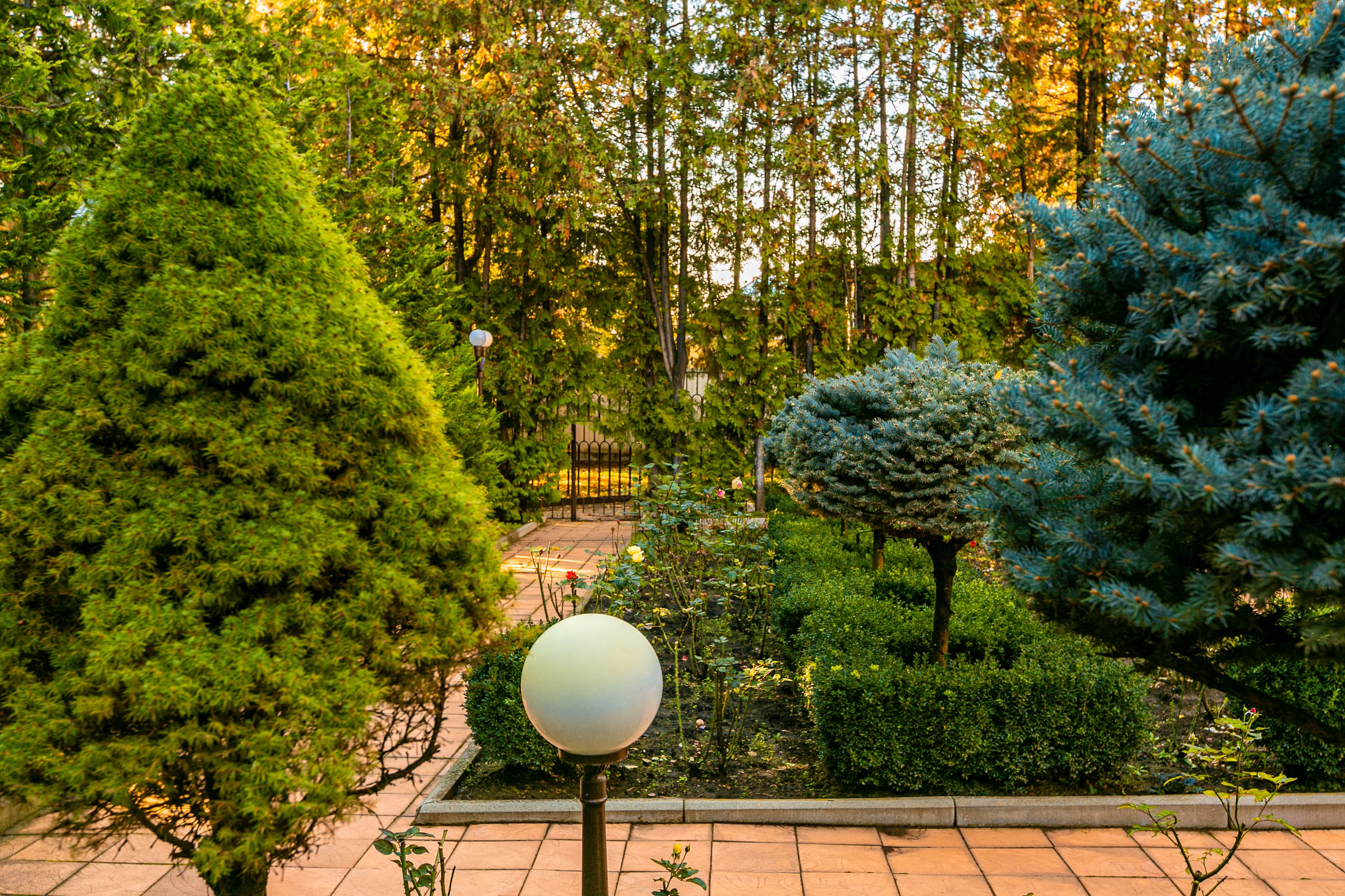 Фото Радуга