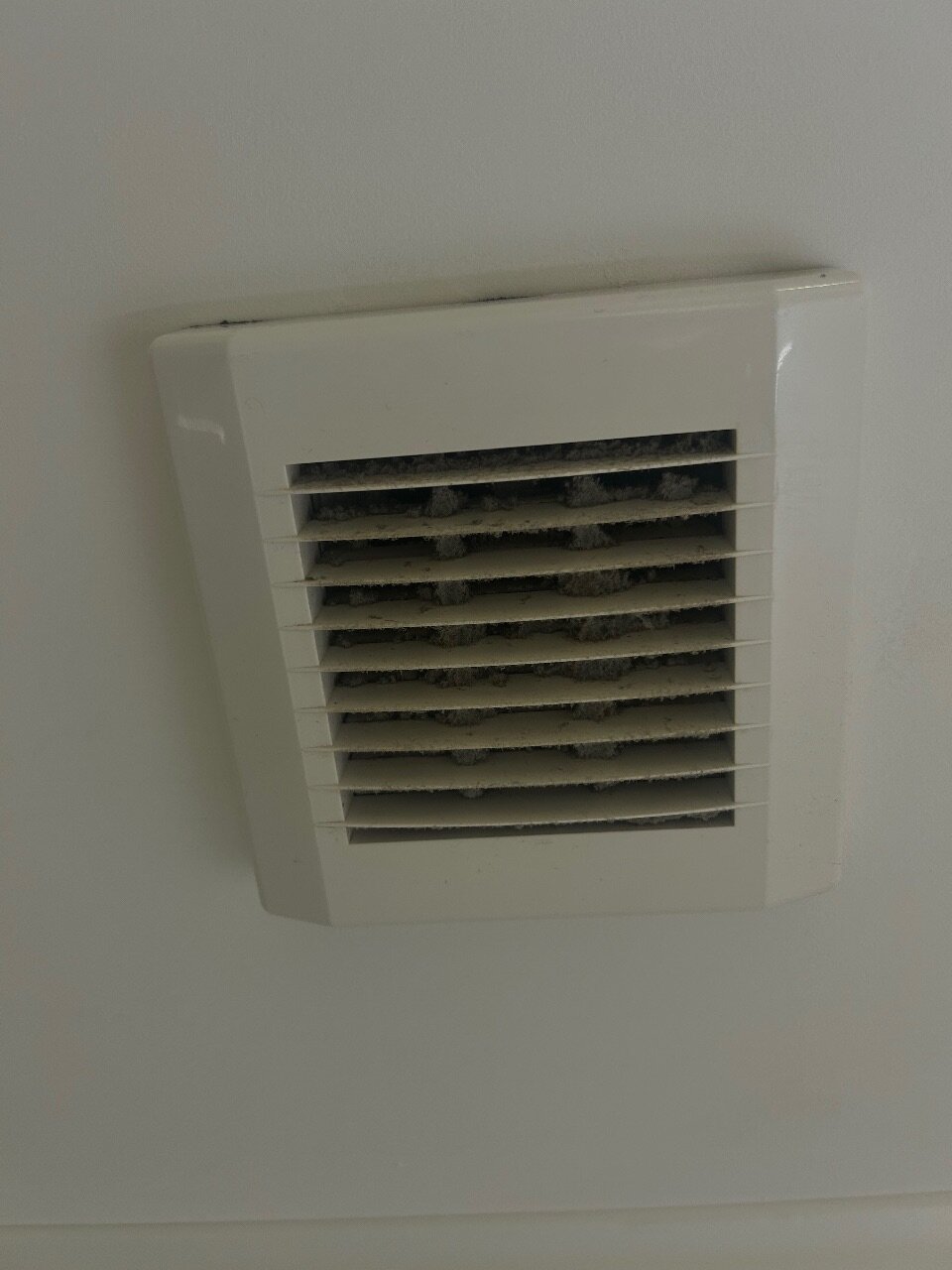 Фото Capital Hotel