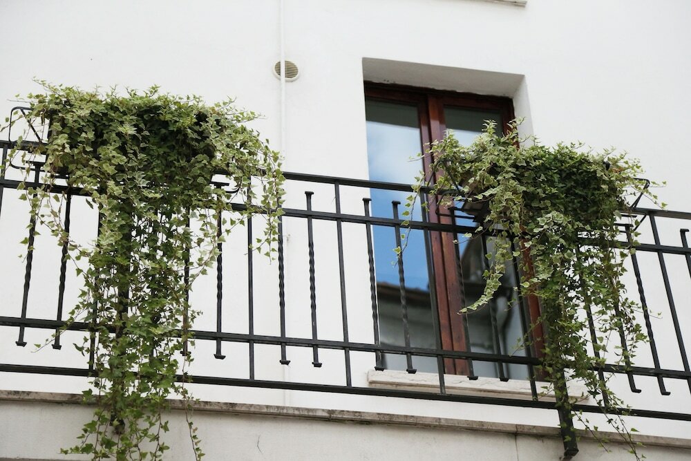 Фото Residenza Accademia