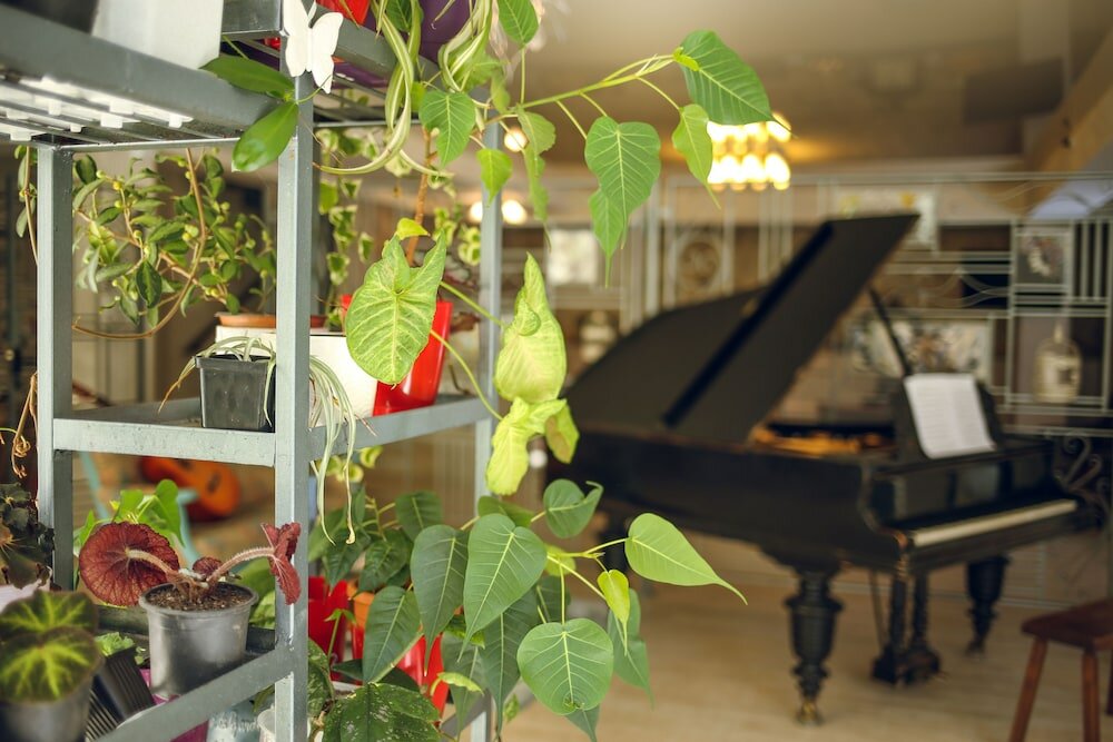 Фото Hotel Kenari