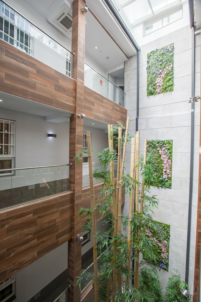 Фото Hotel Don Paco