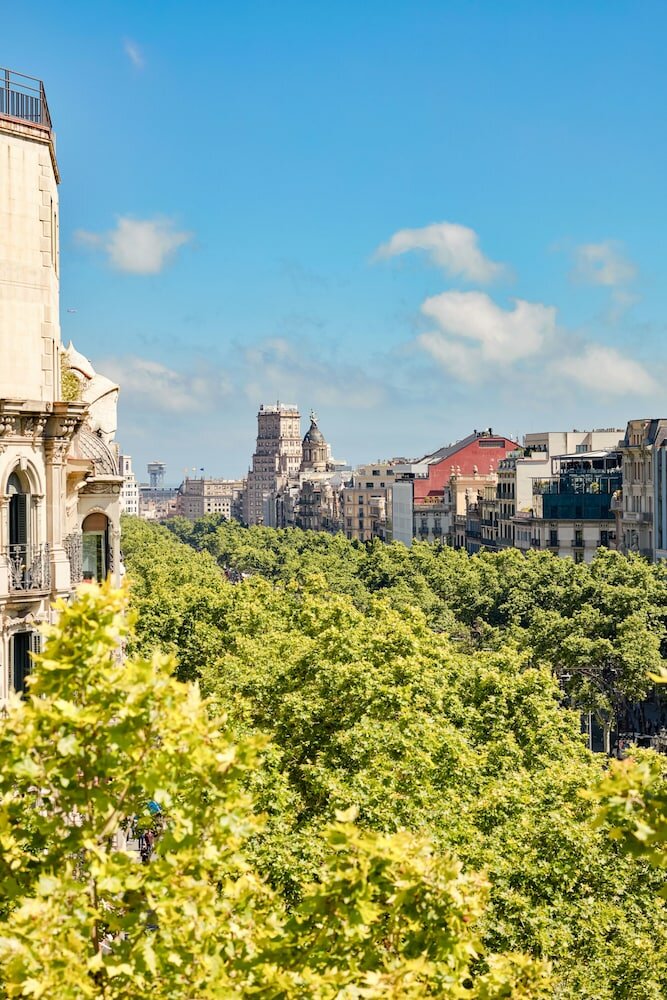 Фото 197786951936