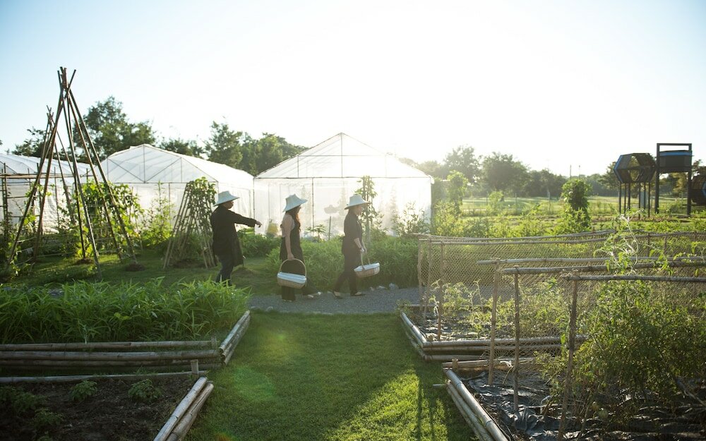 Фото Отель North Hill City Resort