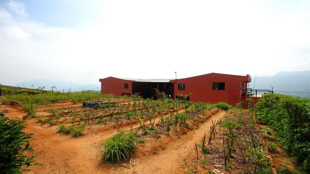 Фото Windloft Retreat