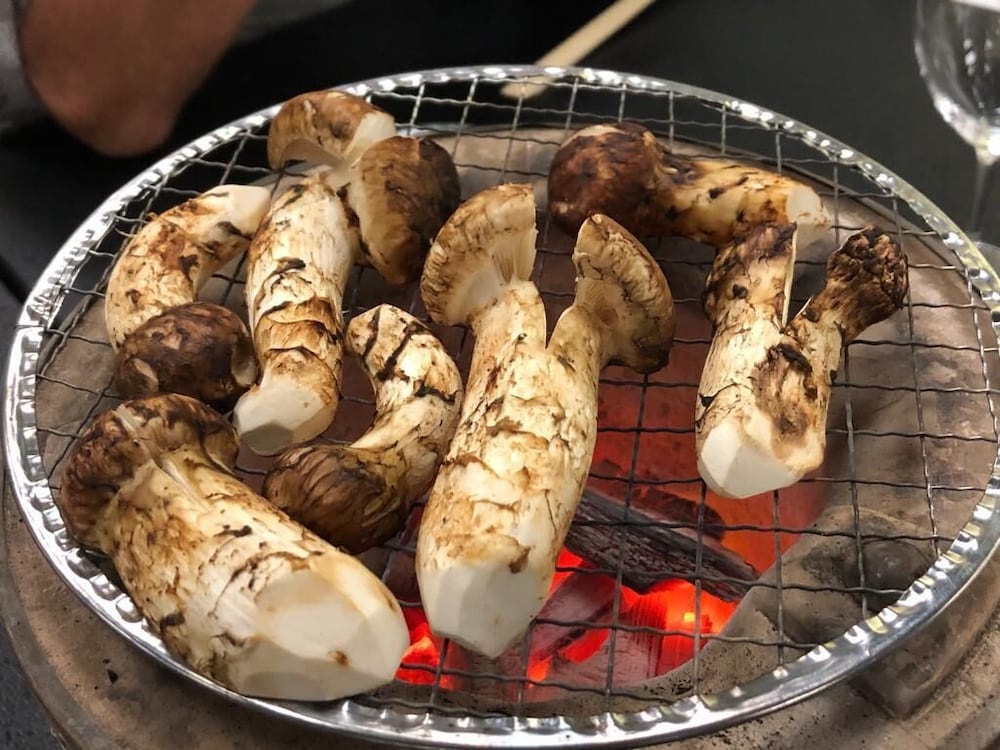 Фото Ryokan Sumiya Kihoan