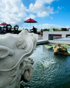 Гостиница Golden Bay Belize Hotel