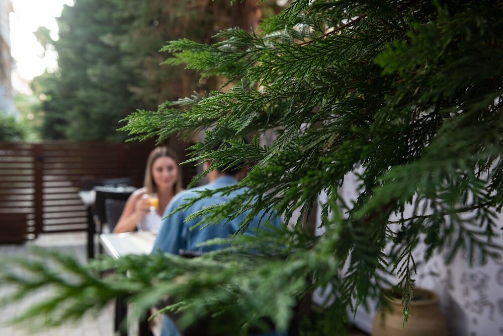 Фото Hotel Galaxias