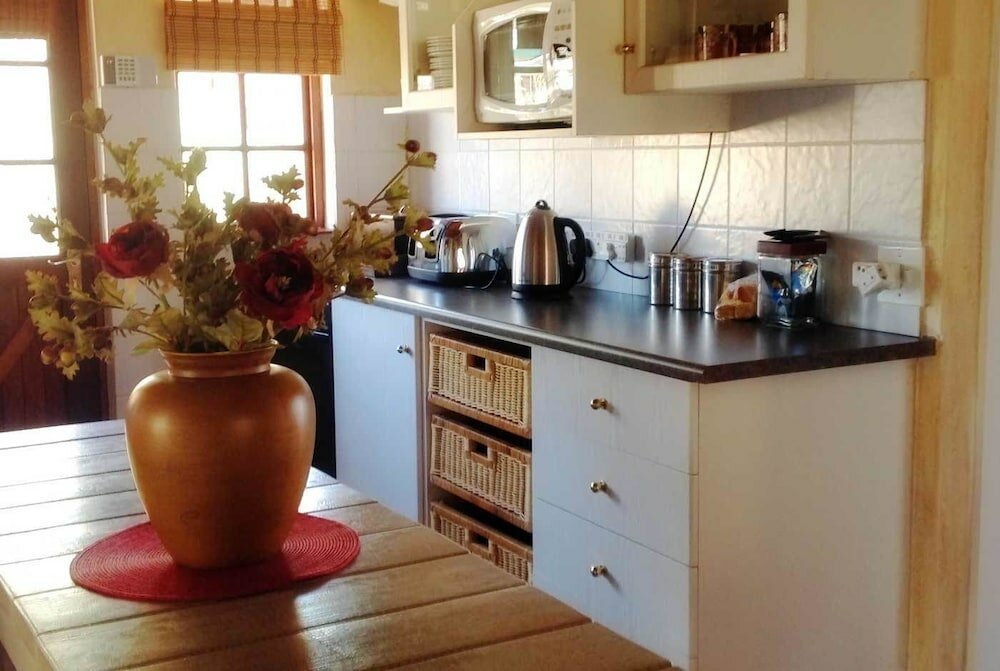 Фото Fox and Squirrel