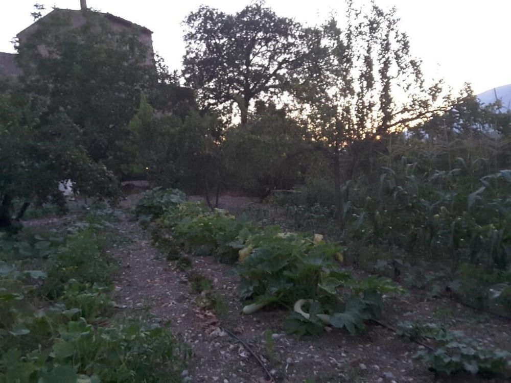 Фото Giardino Donna Lavia