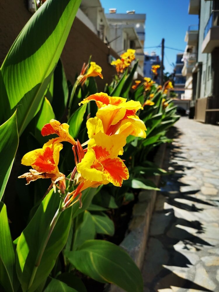 Фото Europa Hotel