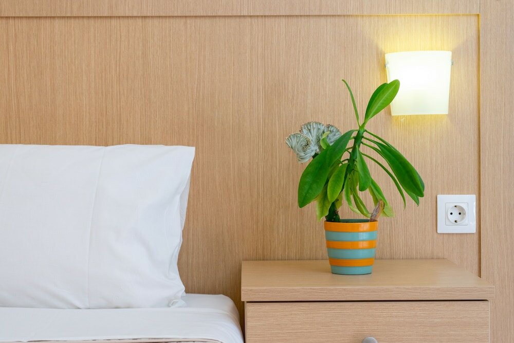 Фото Thalassi Hotel