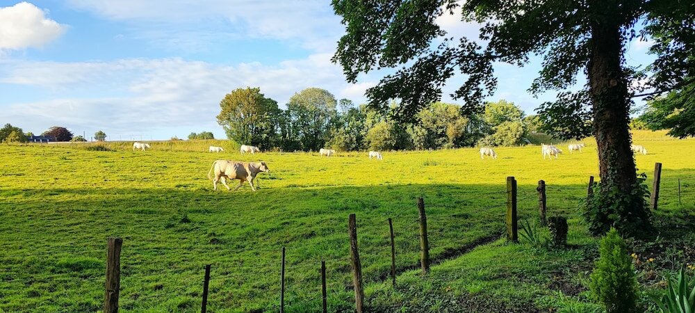 Фото Chateau de Bellefontaine