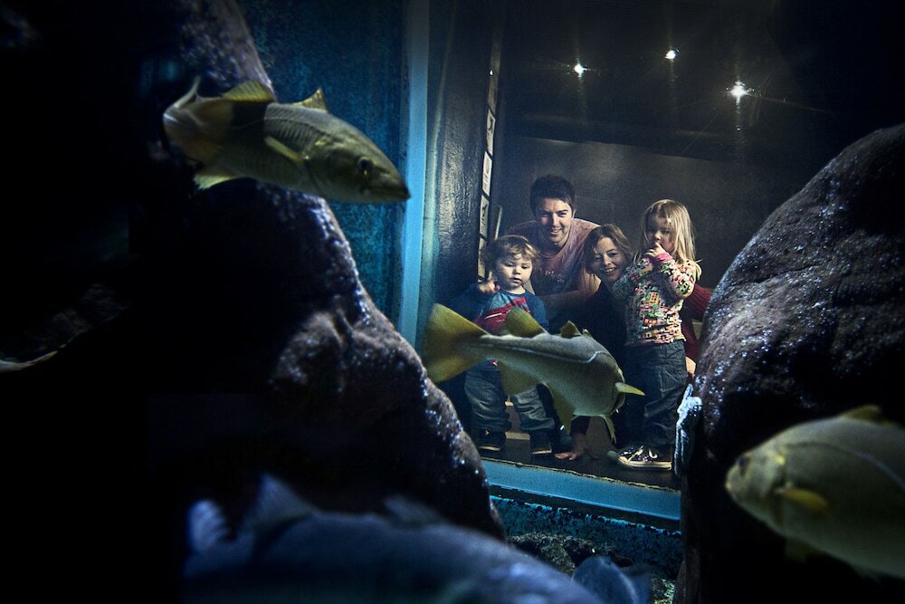 Фото Strandvillan Hotell & Vandrarhem, Lysekil