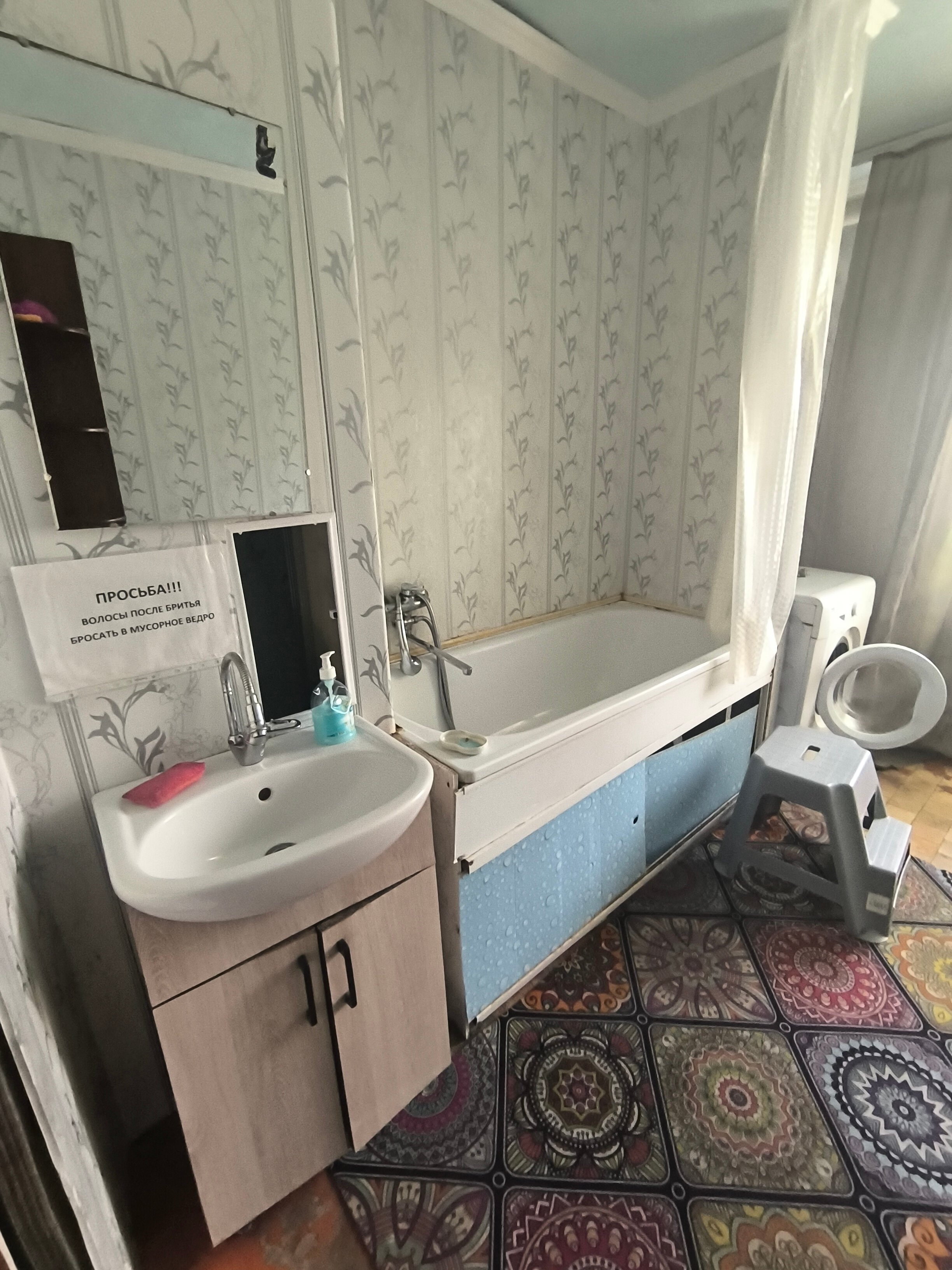 Фото Дружба