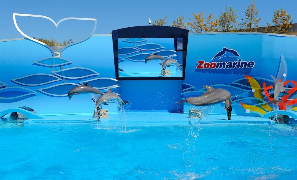 Фото Torres Mira Praia