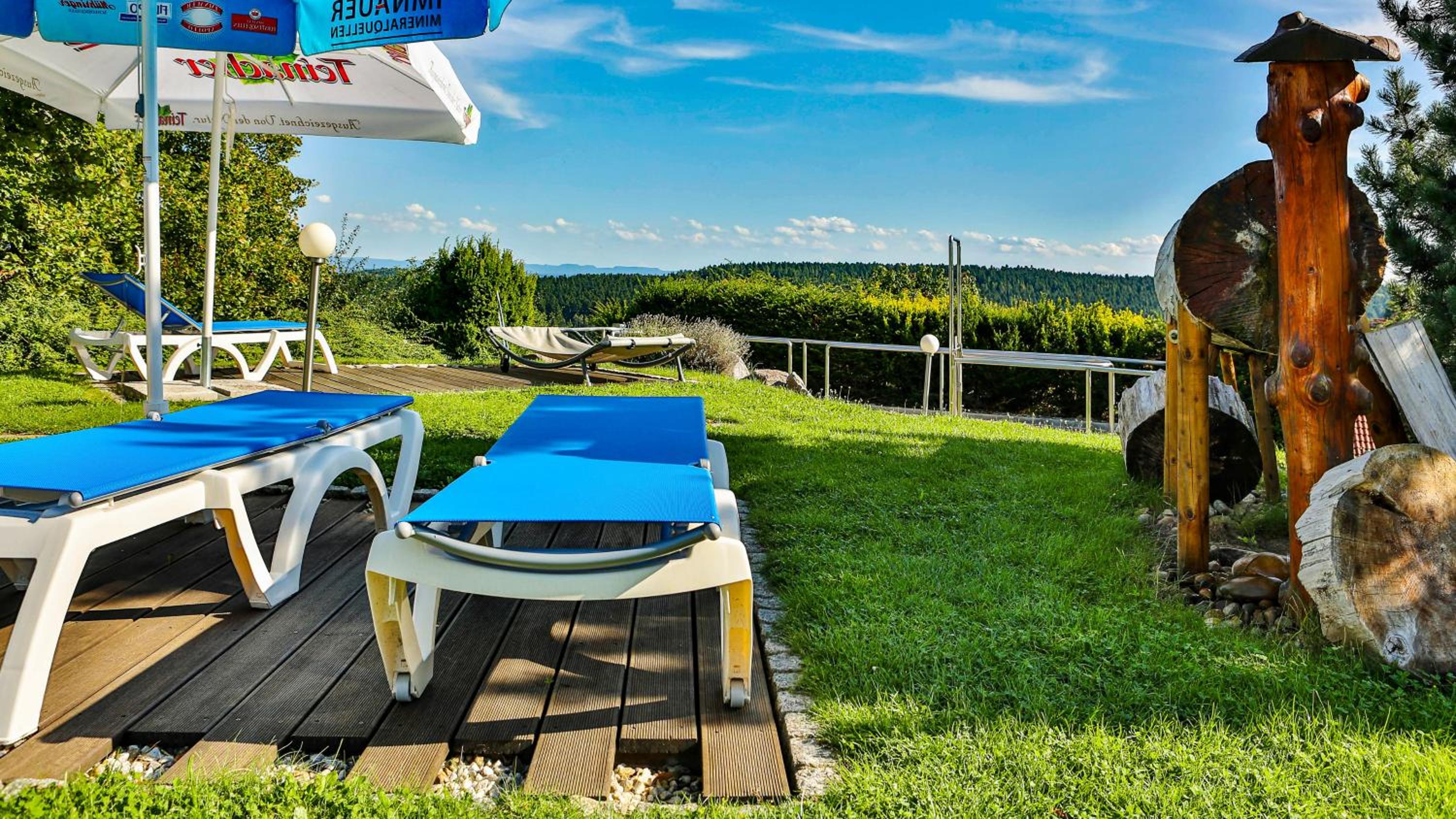 Фото Vital- und Wellnesshotel Albblick