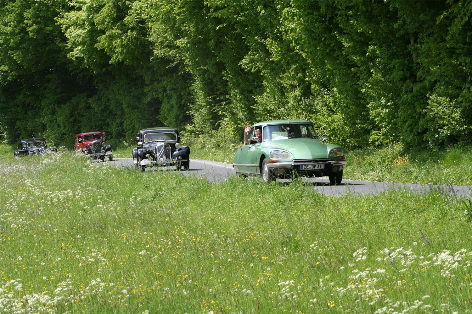 Фото Best Western Hotel Polisina