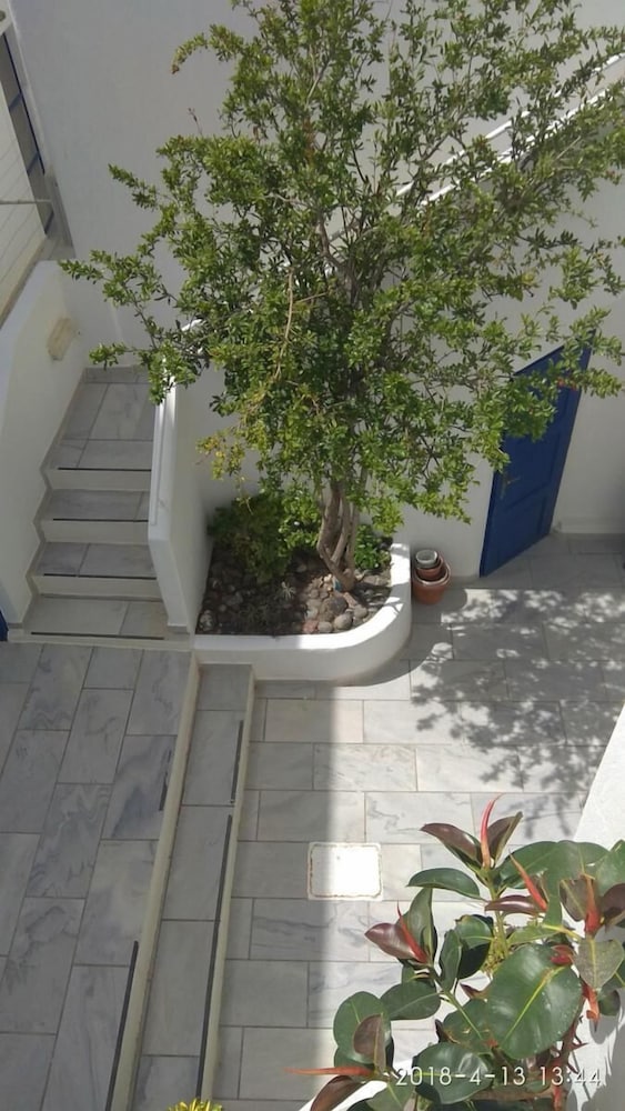 Фото Olympic Villas