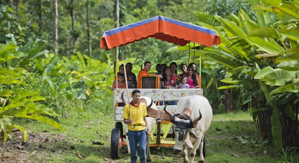Фото Selva Verde Lodge