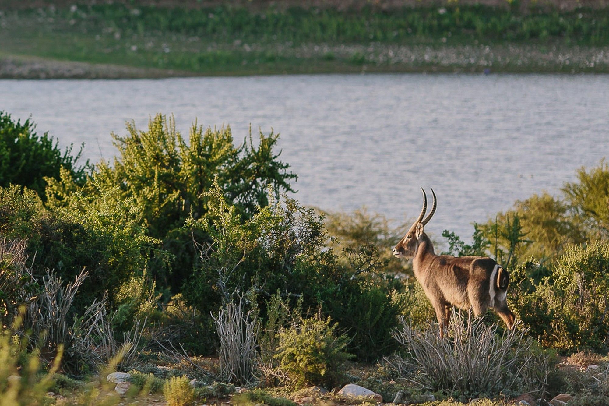 Фото AfriCamps Klein Karoo