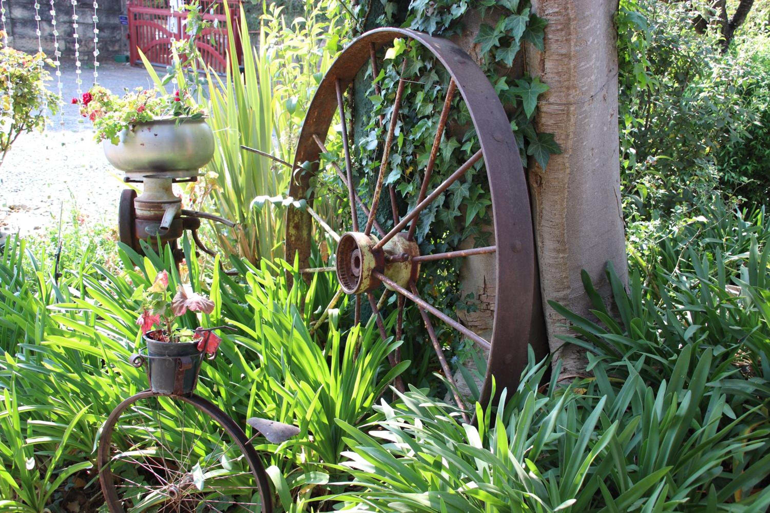 Фото Top House Bed & Breakfast