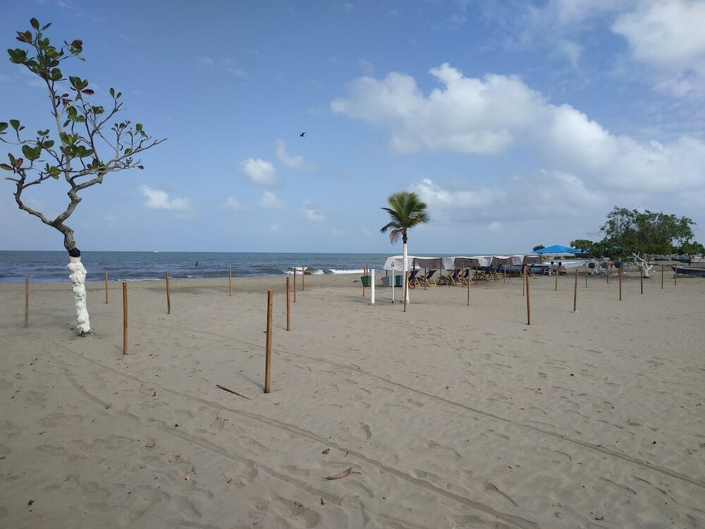 Фото Hotel Montecarlo