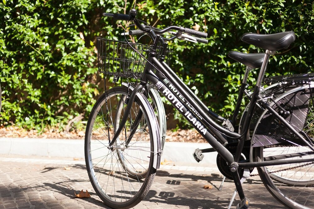 Фото Hotel Ilaria