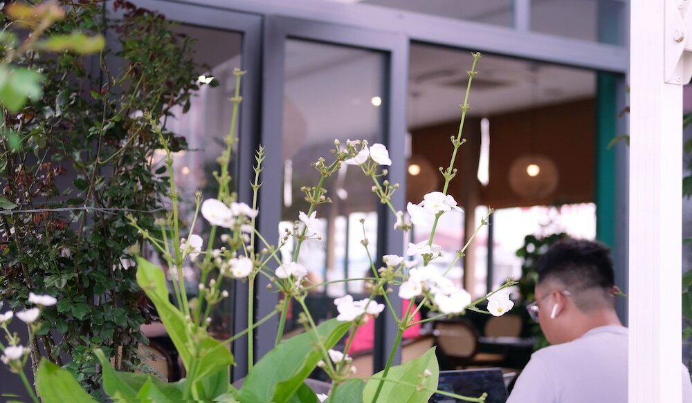 Фото The Bloom Classic