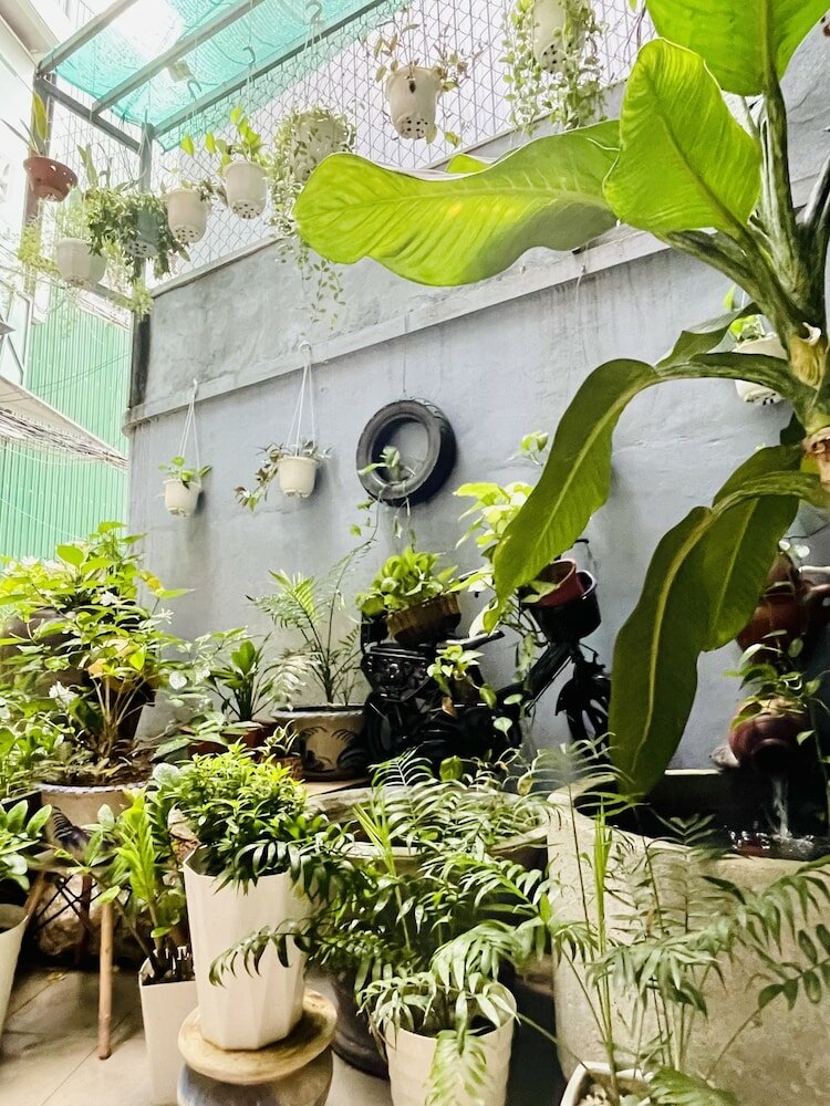 Фото Eva Homestay