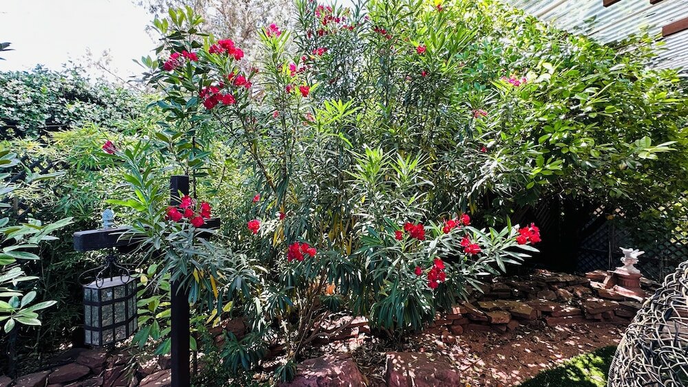 Фото Lantern Light Inn - Romantic Getaway