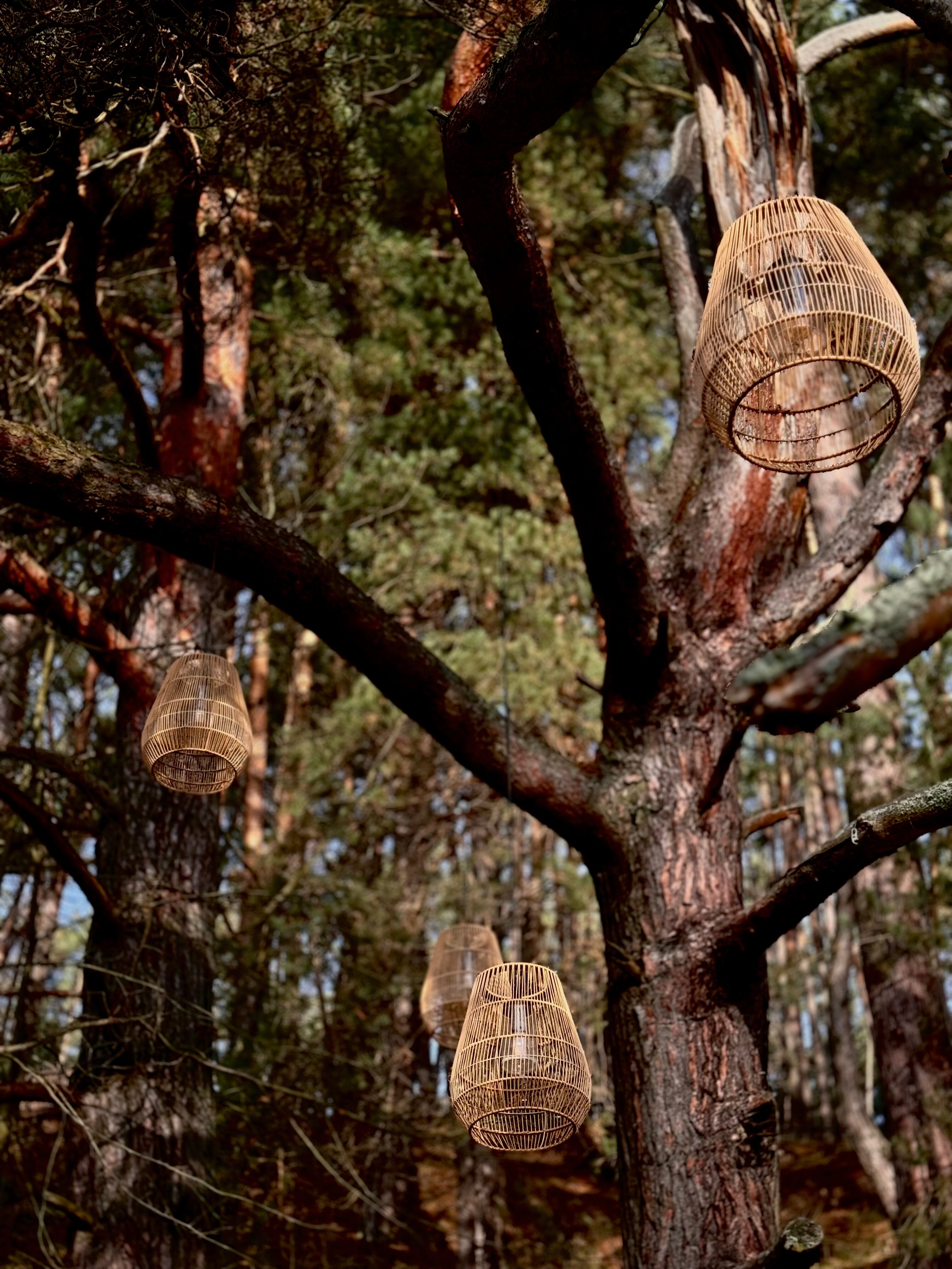 Фото Wish Home Лесной Берег