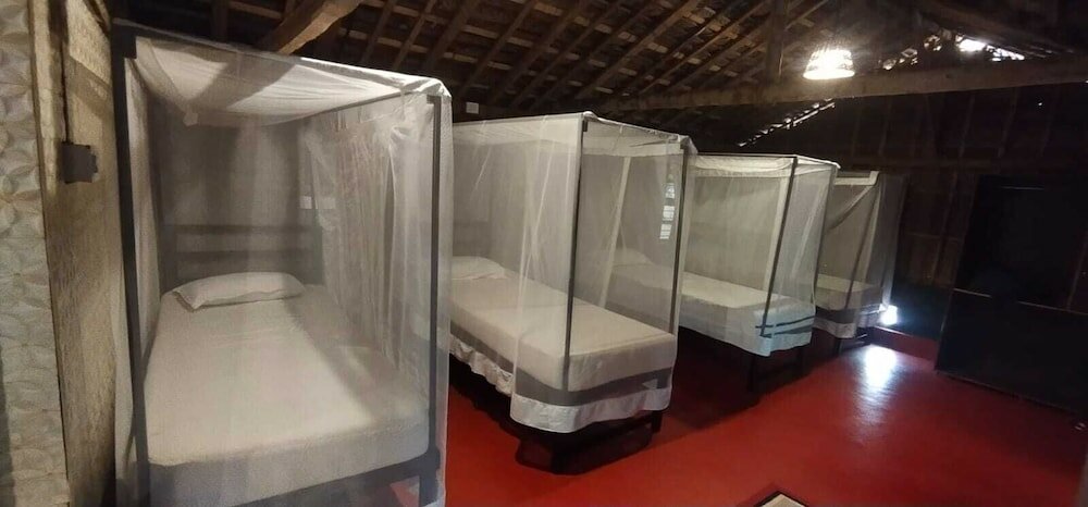 Фото Palm Trees Ayurvedic Heritage