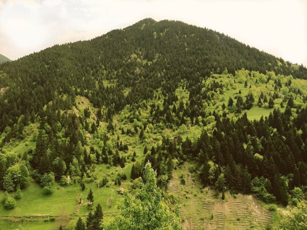 Фото Butik Inceli Hotel