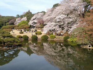 Гостиница Apa Hotel Yamanote Otsuka Eki Tower