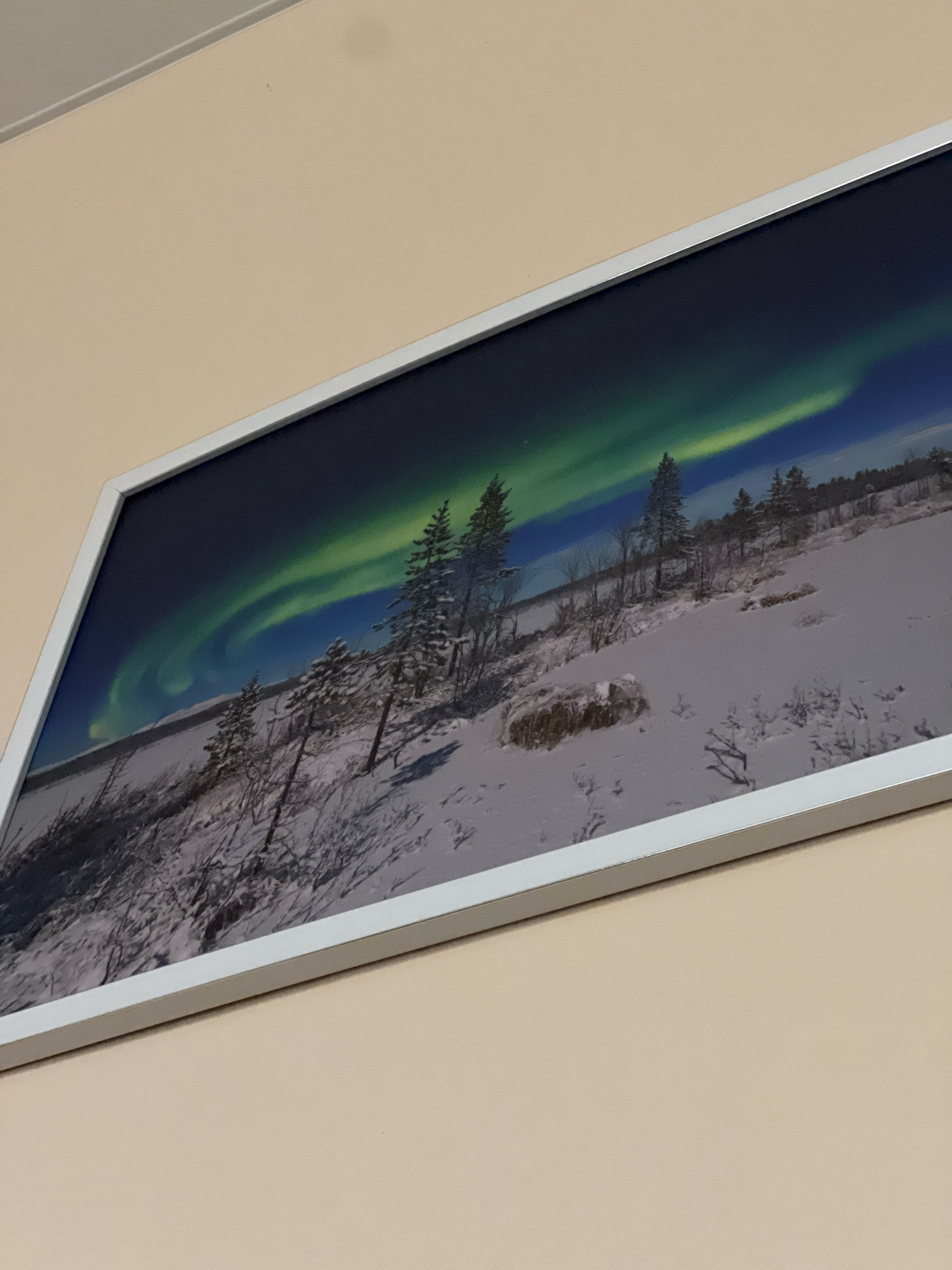 Фото Арктик Хоум Даунтаун