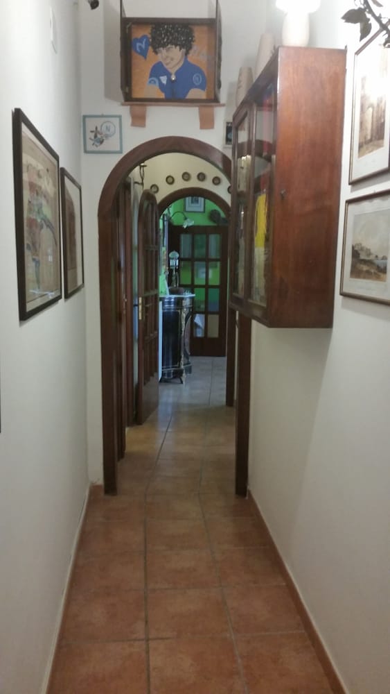 Фото Case Nicotera