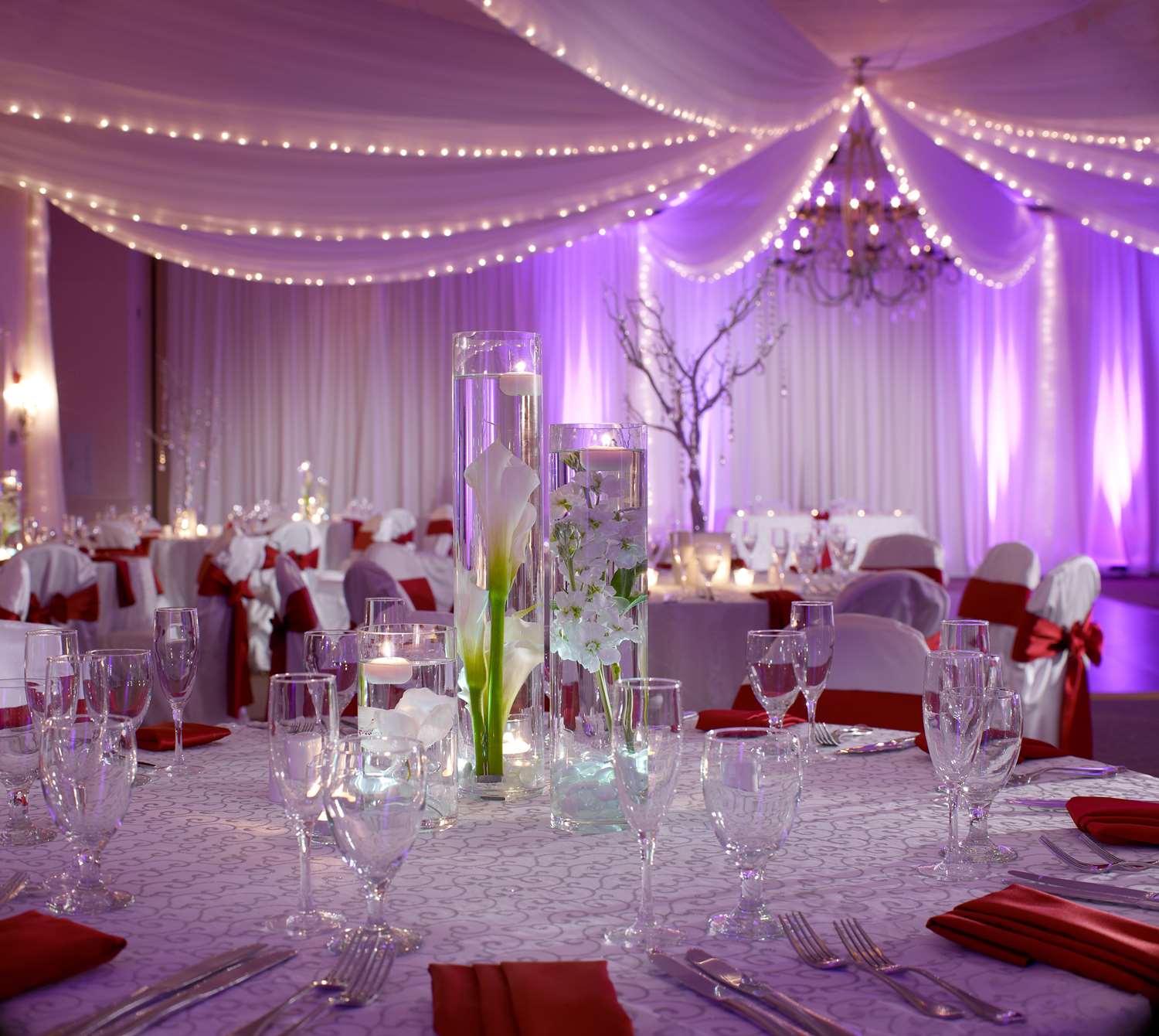 Фото DoubleTree by Hilton Hotel Sunrise - Sawgrass Mills