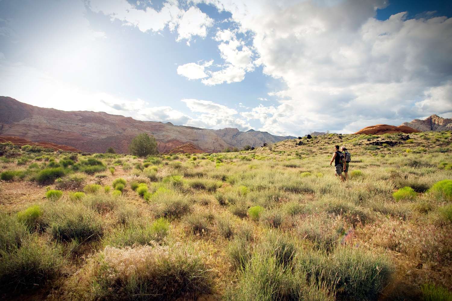 Фото Red Mountain Resort