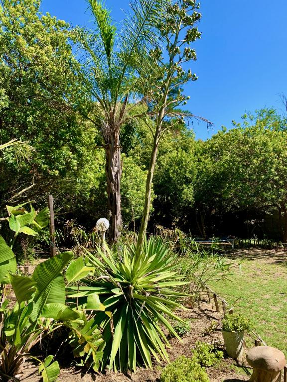 Фото The Little Hideaway